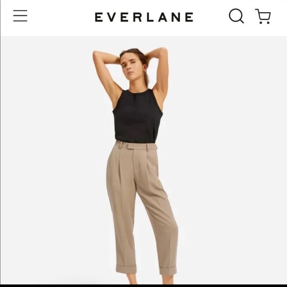 Everlane The Put Together Pleat Pant in clay